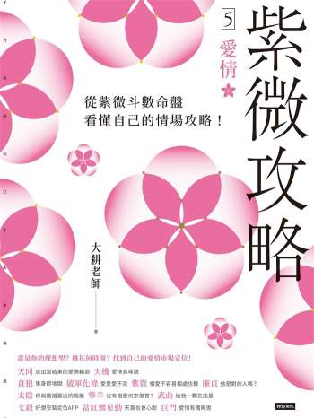 大耕老师《紫微攻略5爱情》370页