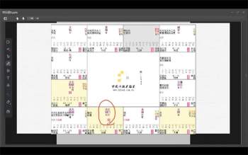 龙眠山人 紫微斗数直播课视频11集+录音50讲+PDF资料