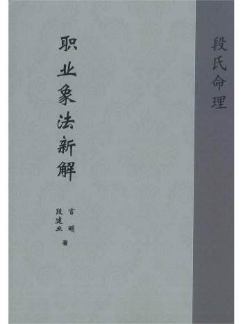 《职业象法新解》段建业、言明著 210页