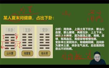 鑫河《梅花易数精品课》26集视频约4.5小时