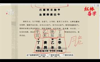 红林老师《滴天髓》《子平八字》2套视频共33集