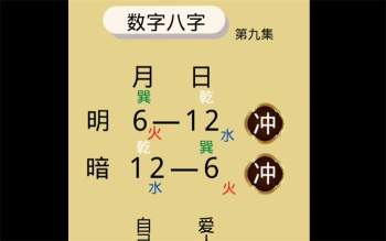 承钰老师 汉字潘多拉、全息观象术、生肖神数、易数奇缘、易学堪舆知识等5套视频