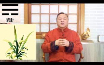 大唐行易唐友权微信头像预测课程视频26集（新版）