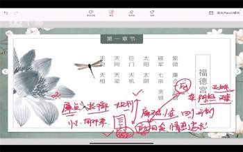 旺旺老师《中州派紫微斗数》43集视频约25.5小时