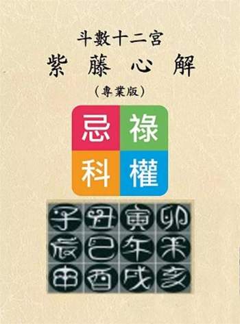 《斗数十二宫紫藤心解（专业版）》李樵著1340页