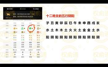 权俞通数字奇门研修班视频15集