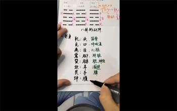 梅花五瓣开《梅花系统课》44集视频约17.5小时