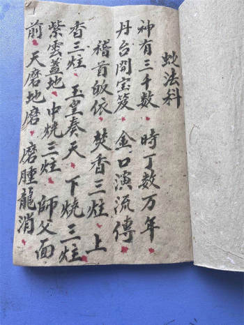 《蛇法科》20筒子页PDF电子版