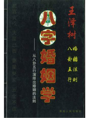 王泽树《八字婚姻学》386页PDF电子书
