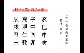 萤火虫《八字象法》20集视频课程约9小时