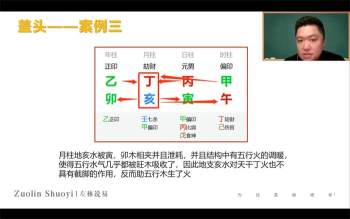 左林说易《八字命理学进阶班（中阶）》29集视频