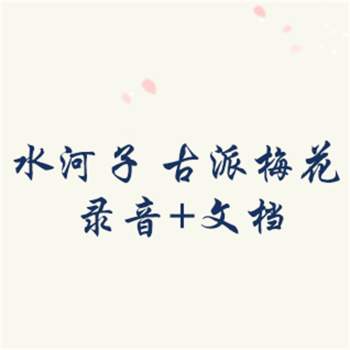 水河子 古派梅花 录音+文档
