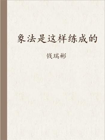 钱瑞彬《象法是这样练成的》聊天记录PDF文档