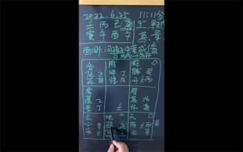 利贞《奇门遁甲内训资料》视频146节视频+资料