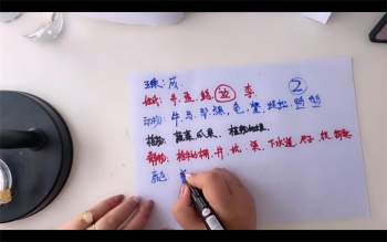 如锦《数字四柱三角定律提升班》178集约164小时