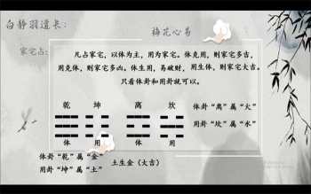 白静羽《梅花易数》篇视频约100分钟