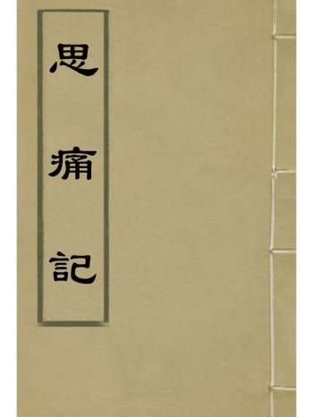 《思痛记》李圭着 1册